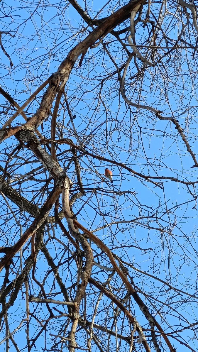 Weather forecasts with beautiful photos by Михаил Бондаренко