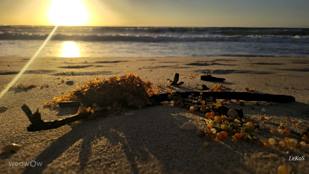 Weather Photos in Brazil. Weather forecasts with beautiful photos by LeKoS