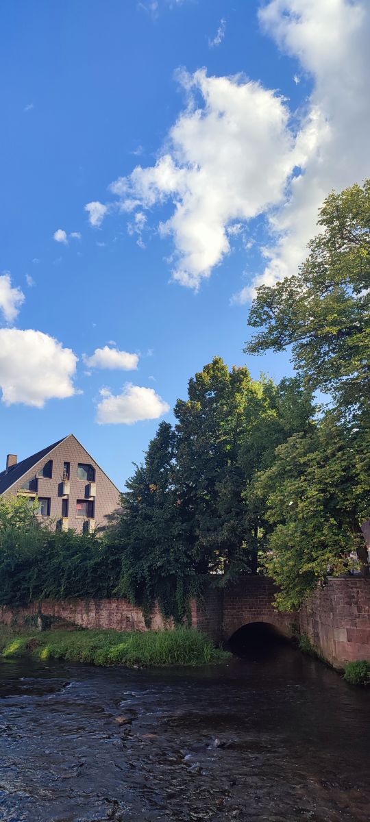 Photographer Tercis, Weather Photos in Ettlingen - Weawow