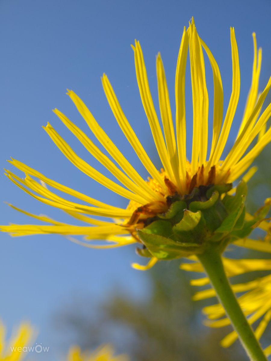 Fotos do tempo em Mikhnevo. Previsões do tempo com lindas fotos de Alex_M_Pakarev