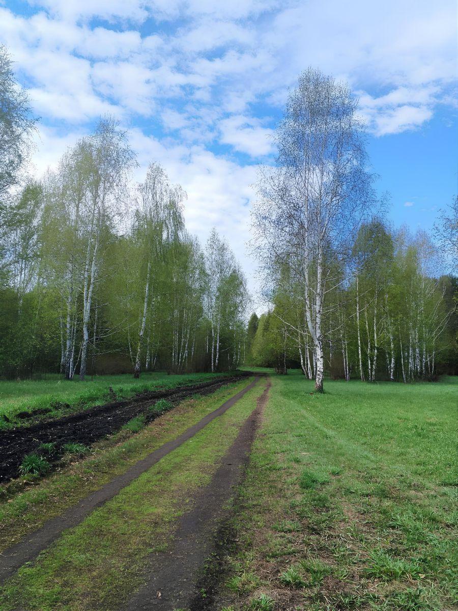 Fotos sobre el clima en Krasnoobsk. Pronósticos del tiempo con hermosas fotos de xxferf