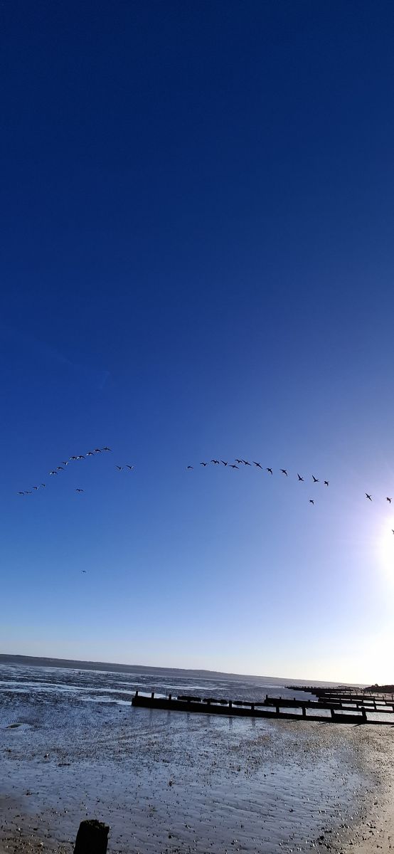 写真家 Lolli、Leysdown-on-Seaの天気写真 - Weawow