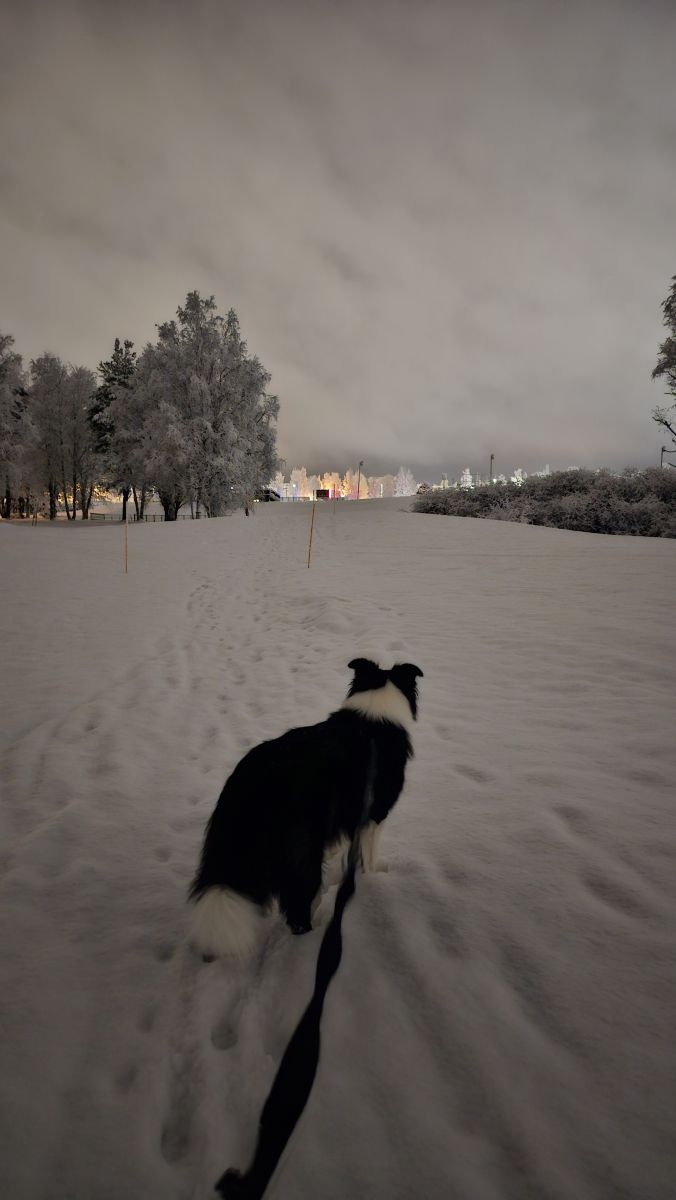 Wettervorhersagen mit schönen Fotos von Piia