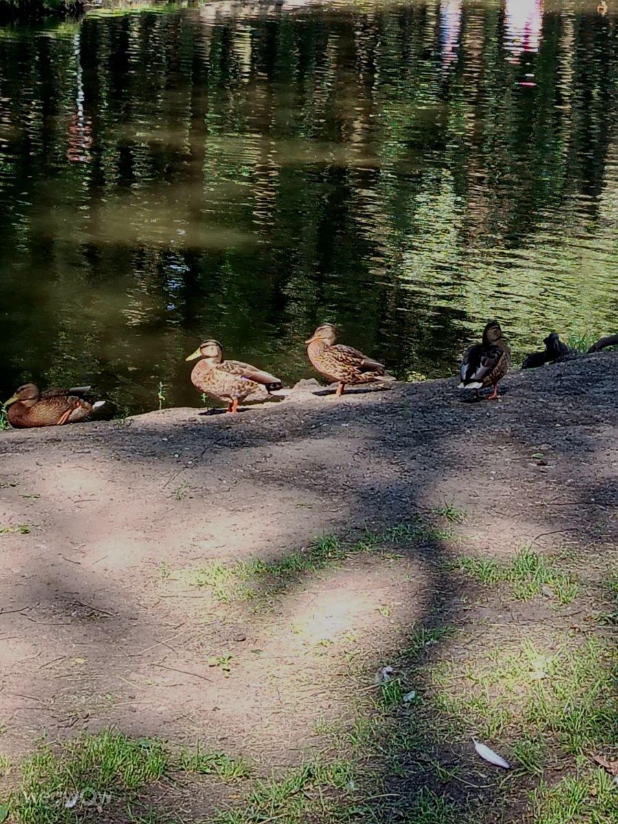 Wetter Photos Nowomoskowsk. Wettervorhersagen mit schönen Fotos von Svetlana3