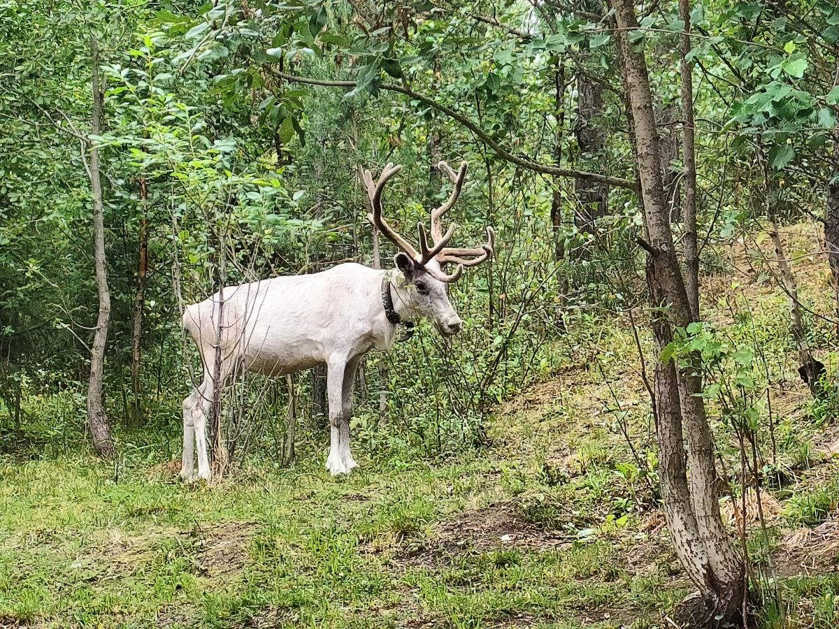 Photos météo à Murmansk. Prévisions météo avec de superbes photos de Нет Да