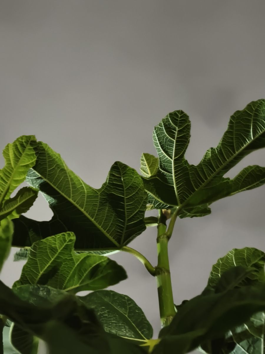 智利的天气照片. 天气预报，带MarioMartínezB精美的照片