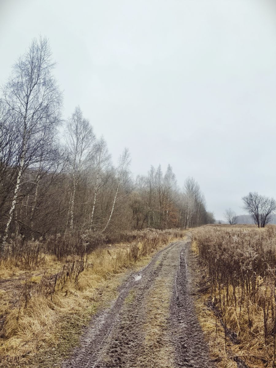 Tula的天气照片. 天气预报，带Aleksei精美的照片