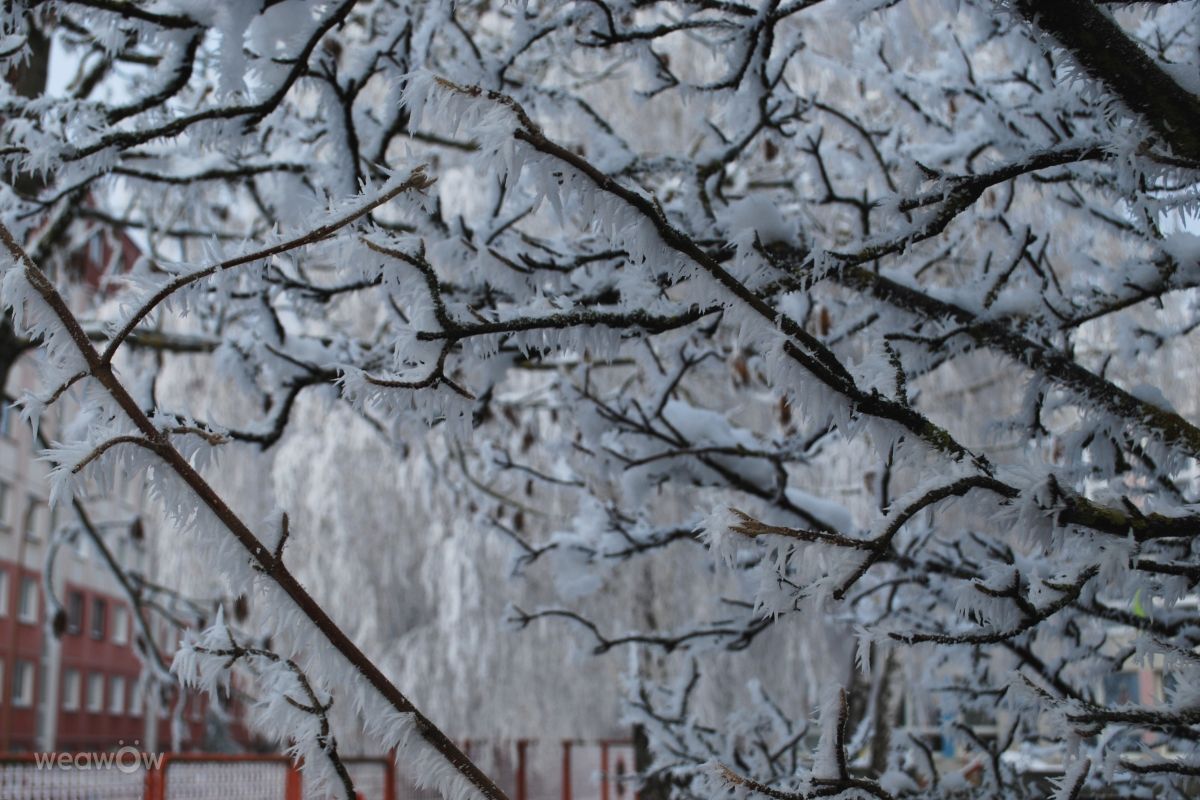 Hình ảnh Thời tiết ở Slovakia. Dự báo thời tiết với những bức ảnh đẹp của Marcela Cervenakova