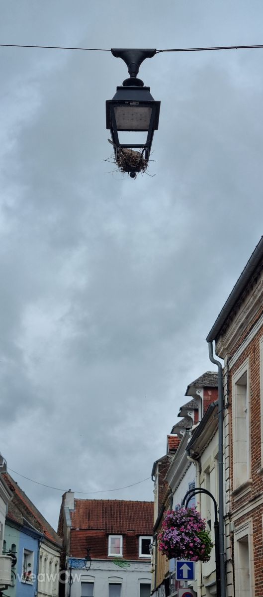 Photographer DaB, Weather Photos in Montreuil-sur-Mer - Weawow