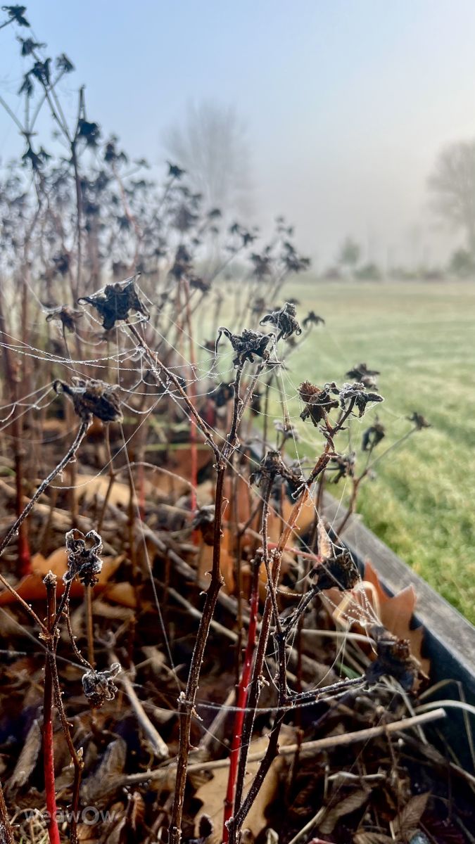 摄影师 Stassy，Teshkovo的天气照片 - Weawow