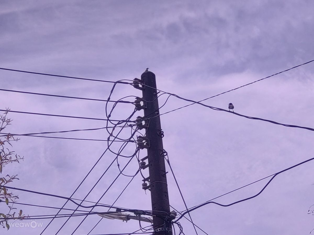 Photographer Wen-ya Huang, Weather Photos in Kaohsiung City - Weawow