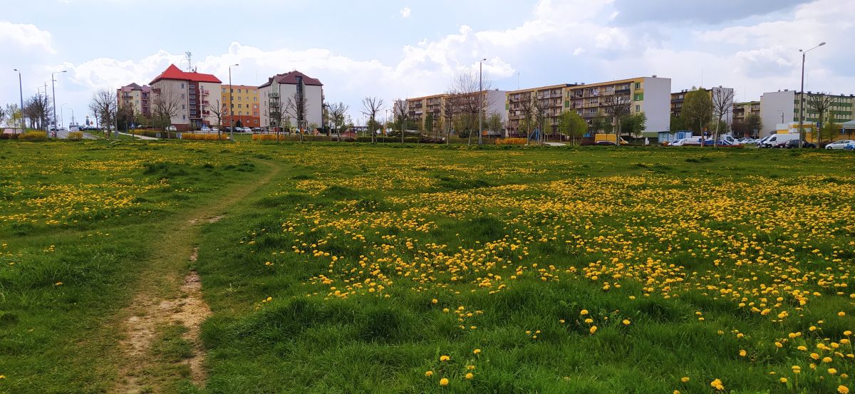 Fotógrafo Romek58, Fotos sobre el clima en Wieluń - Weawow