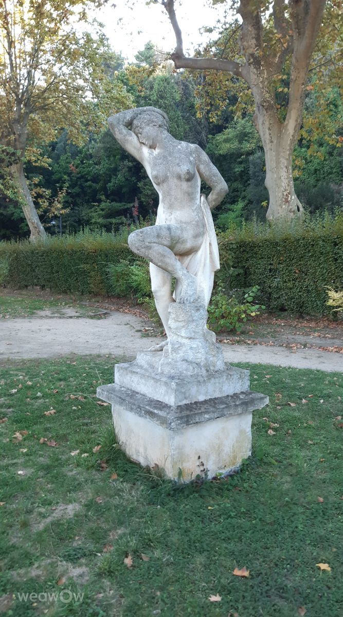 Prévisions météo avec de superbes photos de Ninette