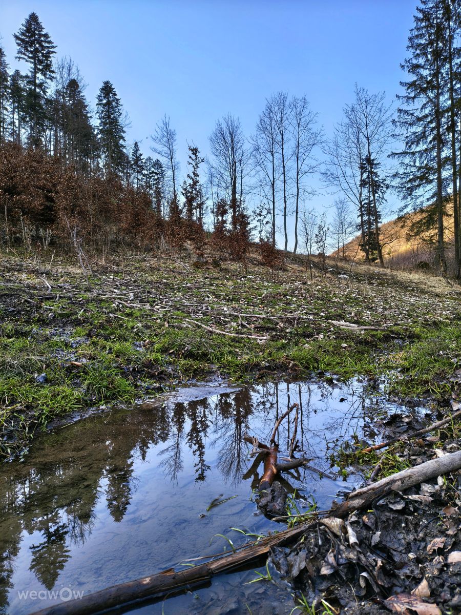 Weather Photos in Slovakia. Weather forecasts with beautiful photos by _richardd