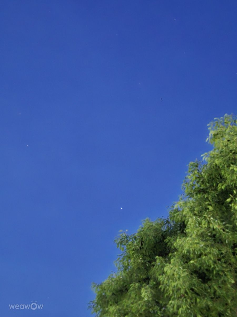 Photographer Wen-ya Huang, Weather Photos in Kaohsiung City - Weawow