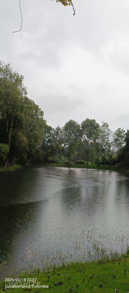 Weather Photos in Colombia. Weather forecasts with beautiful photos by Molina-10