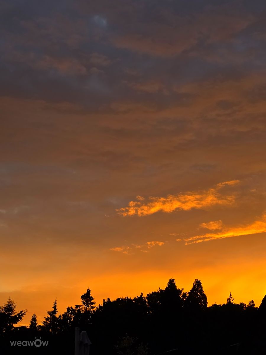 Weather forecasts with beautiful photos by Seni