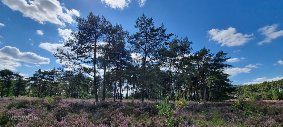 Weather forecasts with beautiful photos by DaB