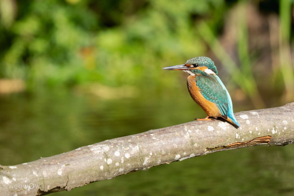 Fotos do tempo em Giżycko. Previsões do tempo com lindas fotos de Grzegorz Jakacki