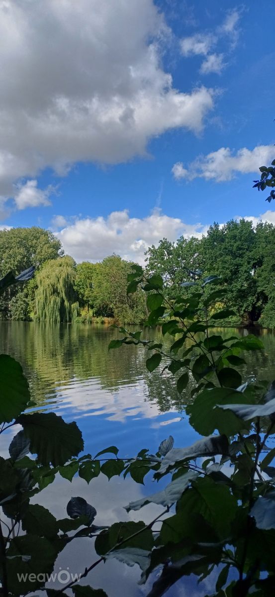 Weather Photos in Fürth. Weather forecasts with beautiful photos by vic74furt762