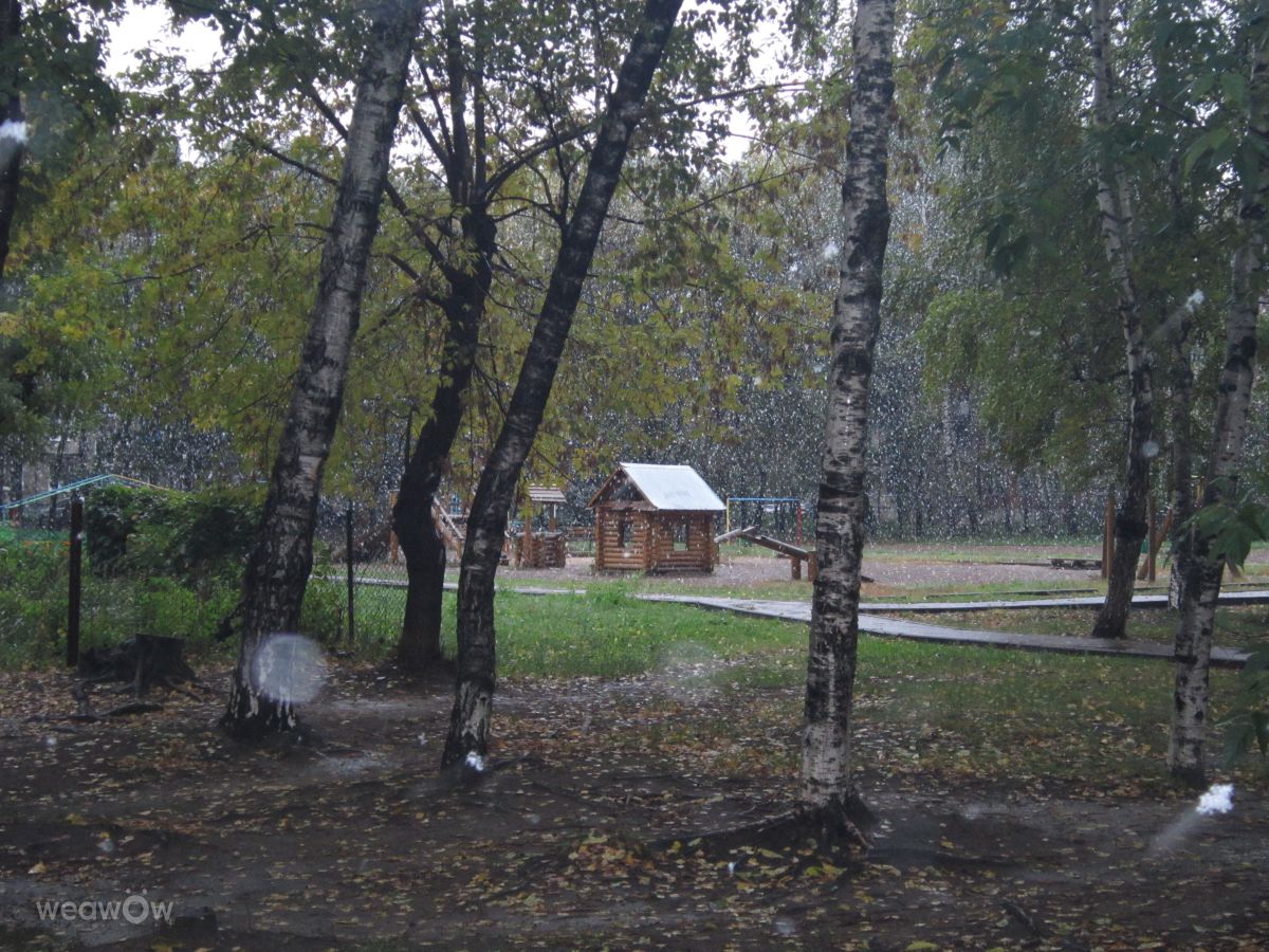 Photographer urubu, Weather Photos in Kazan’ - Weawow