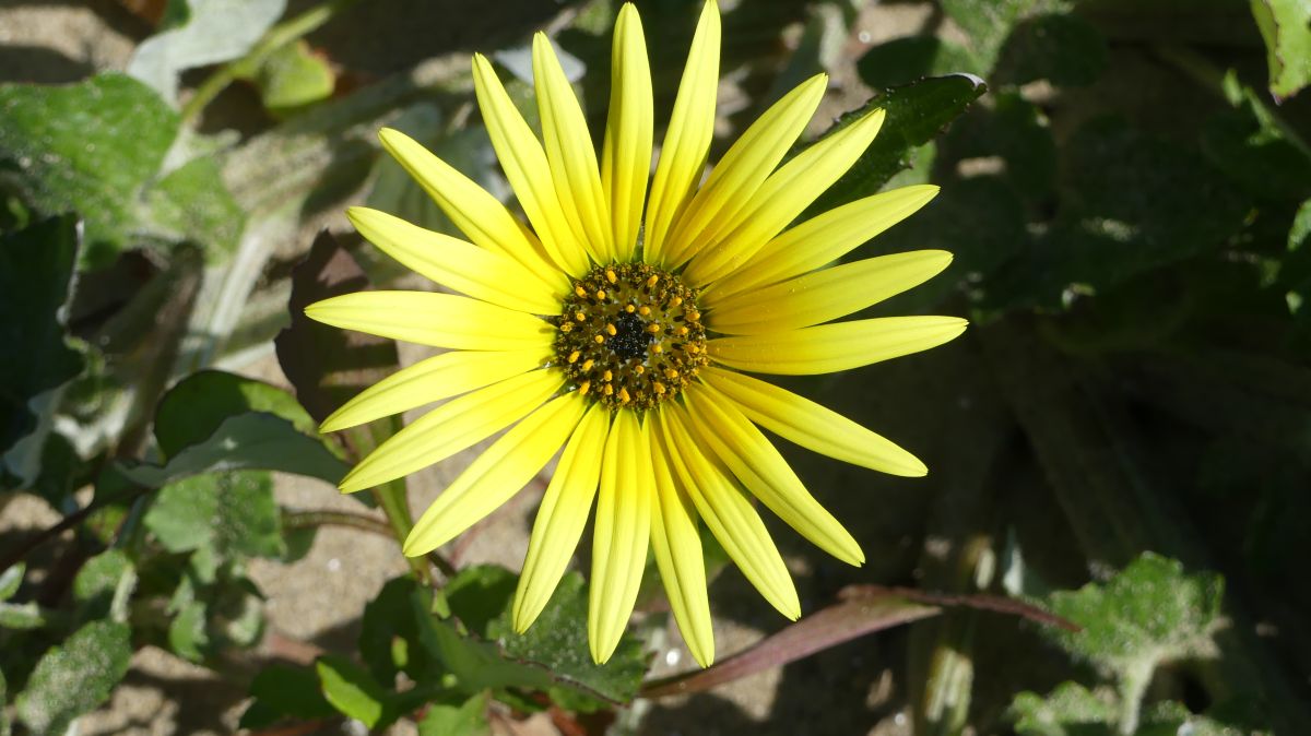 Fotografos BIKOTRAVEL, Fotos do tempo em A Estrada - Weawow