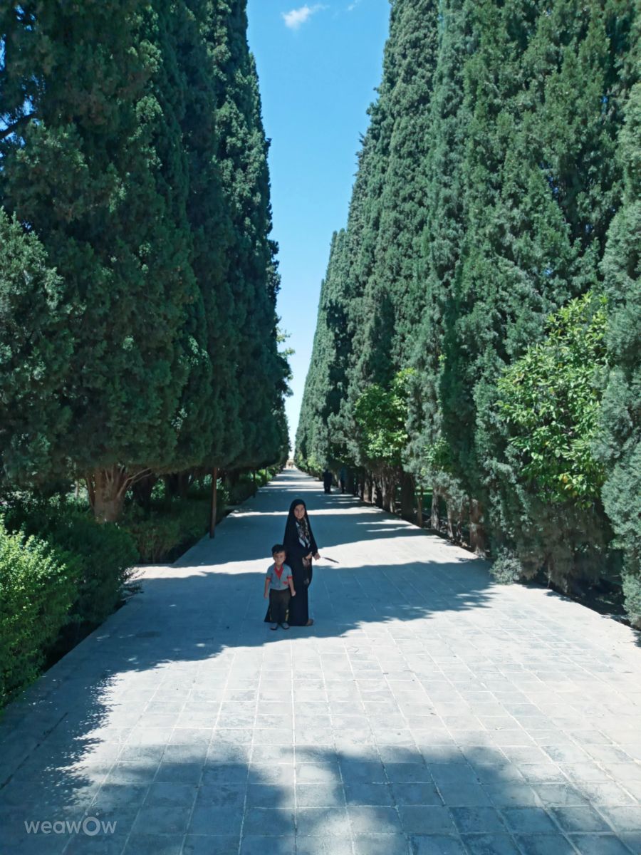 Photographer fromIran, Weather Photos in Shahrestān-e Shīrāz - Weawow