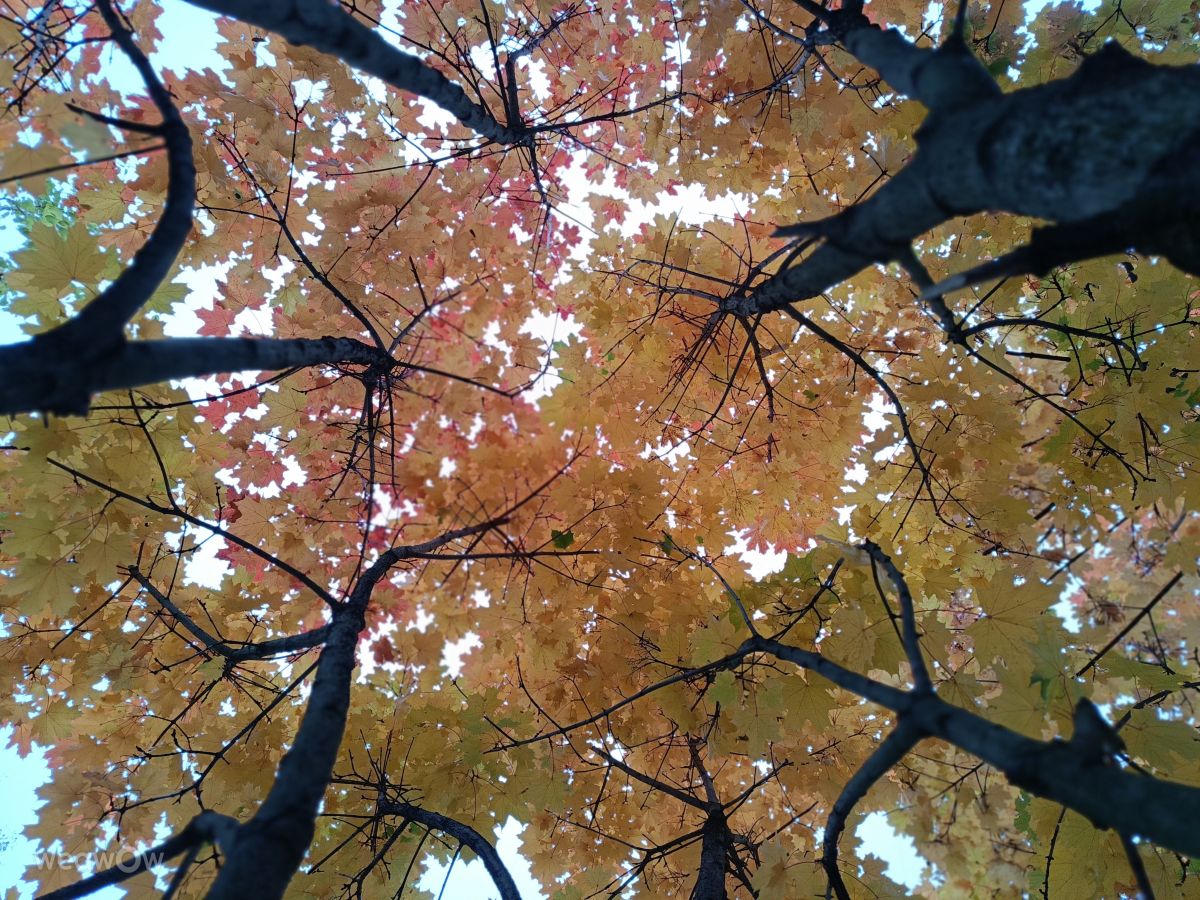 Fotos sobre el clima en Chernígov. Pronósticos del tiempo con hermosas fotos de Boogik