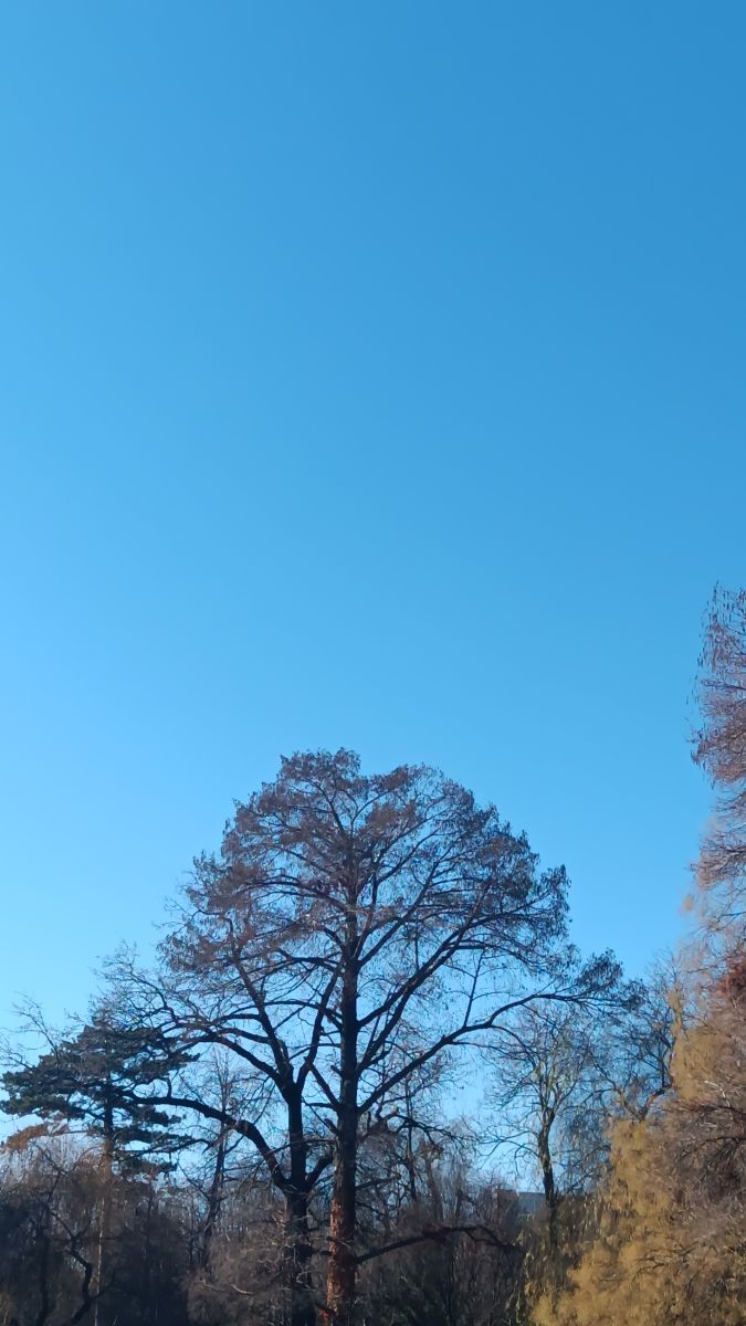 Fotógrafo YanBog, Fotos sobre el clima en București - Weawow