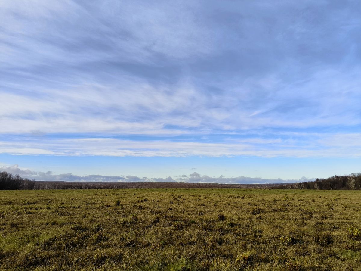 Wetter Photos Tul'skaya Oblast'. Wettervorhersagen mit schönen Fotos von Aleksei
