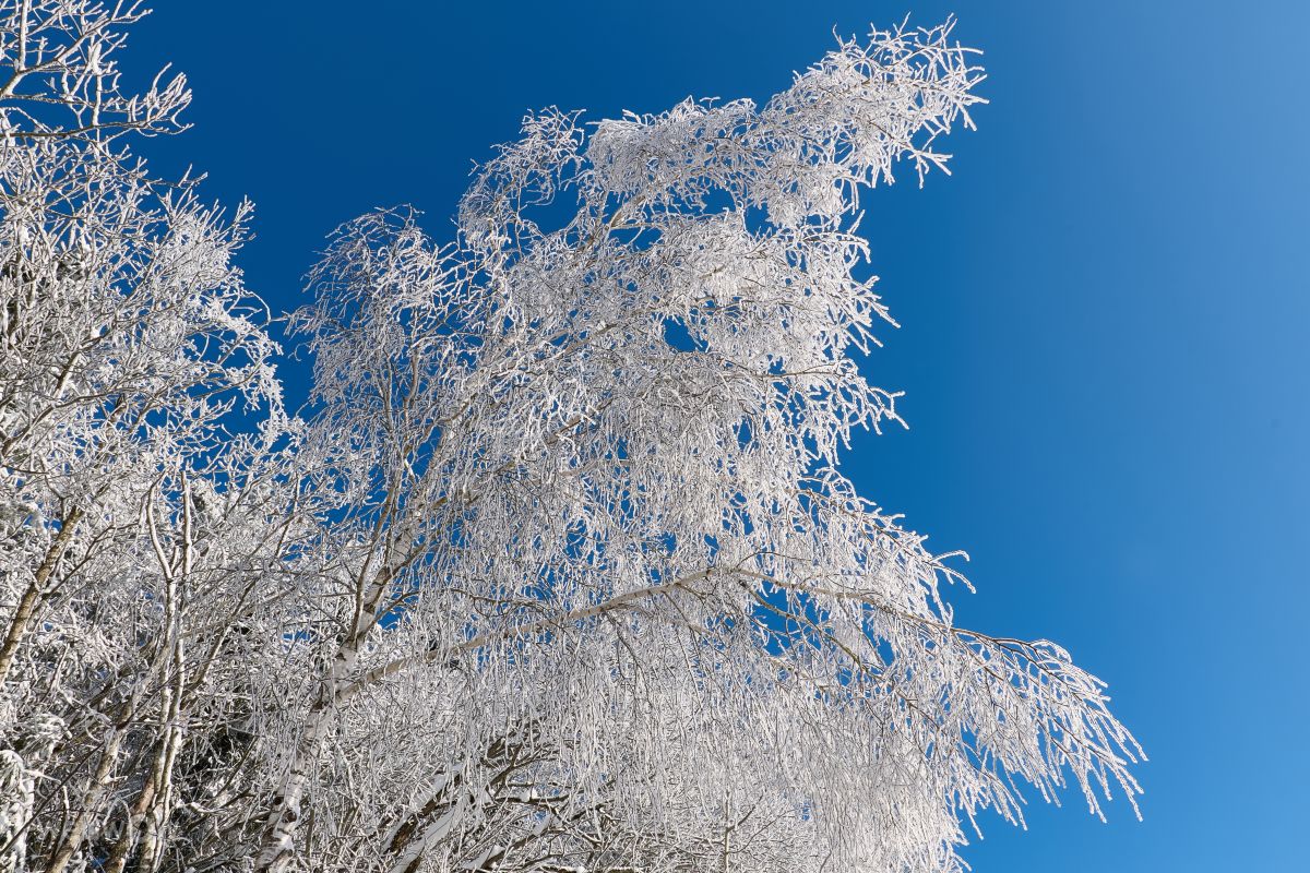 Fotos do tempo em Minsk. Previsões do tempo com lindas fotos de Aleh_Narushevich