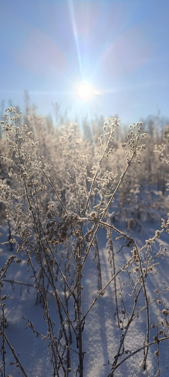 Photos météo à Kiev. Prévisions météo avec de superbes photos de Michael_1969