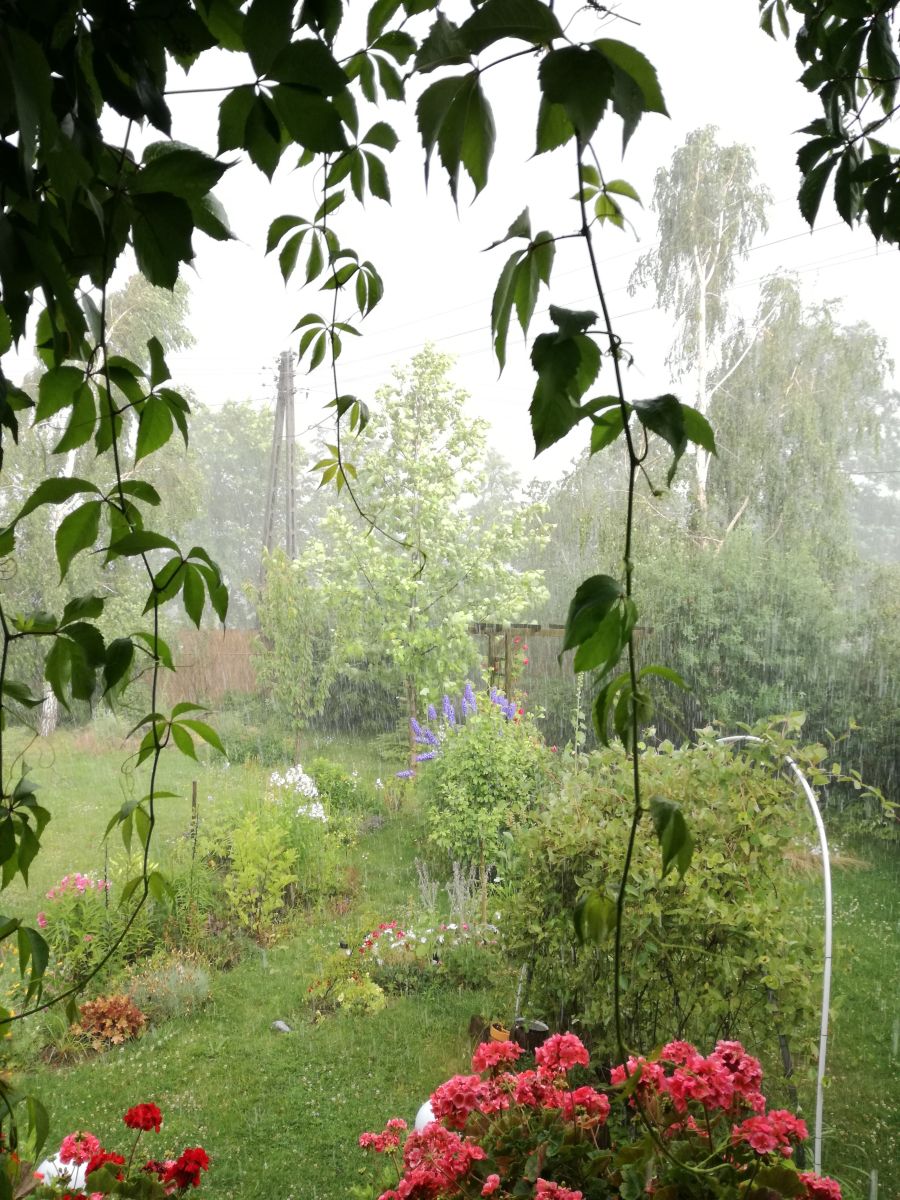 シフィェンティクシシュ県の天気写真. Katuszkaの美しい写真による天気予報