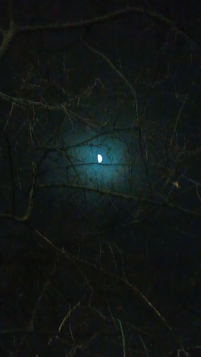 Fotógrafo YanBog, Fotos sobre el clima en București - Weawow