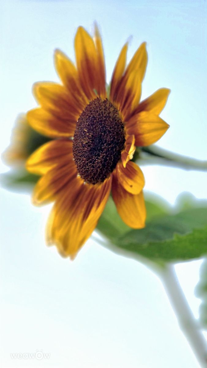Weather forecasts with beautiful photos by Hela