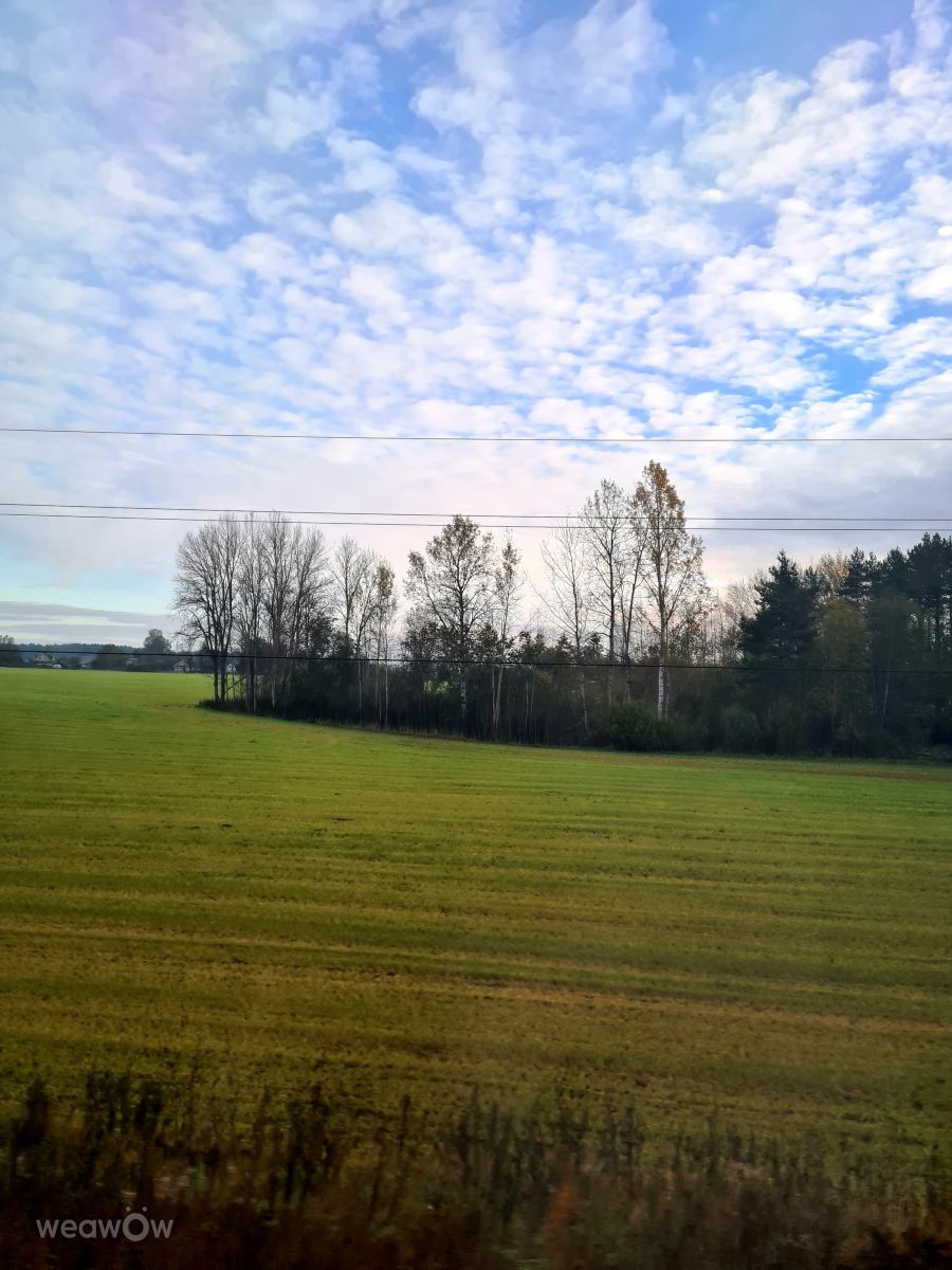 Photos météo à Pskov Oblast. Prévisions météo avec de superbes photos de HelenR