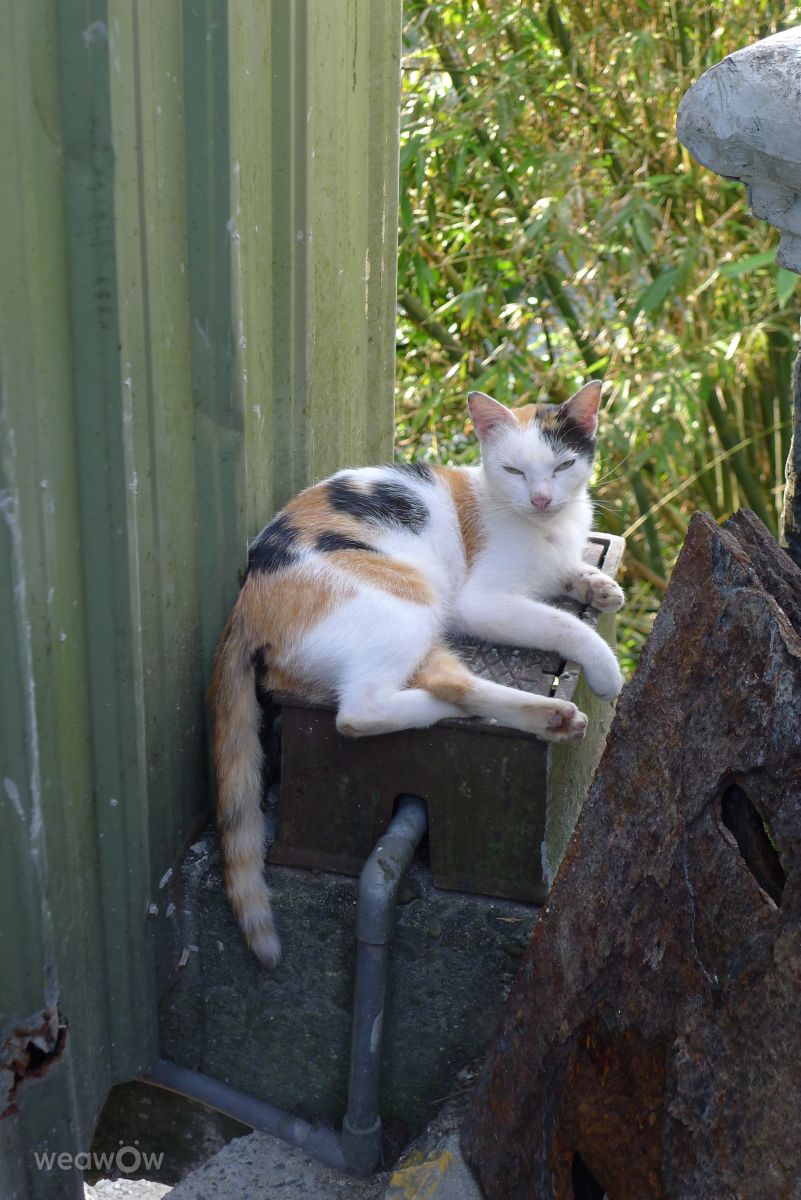 Hình ảnh Thời tiết ở Đài Bắc. Dự báo thời tiết với những bức ảnh đẹp của lunatibi