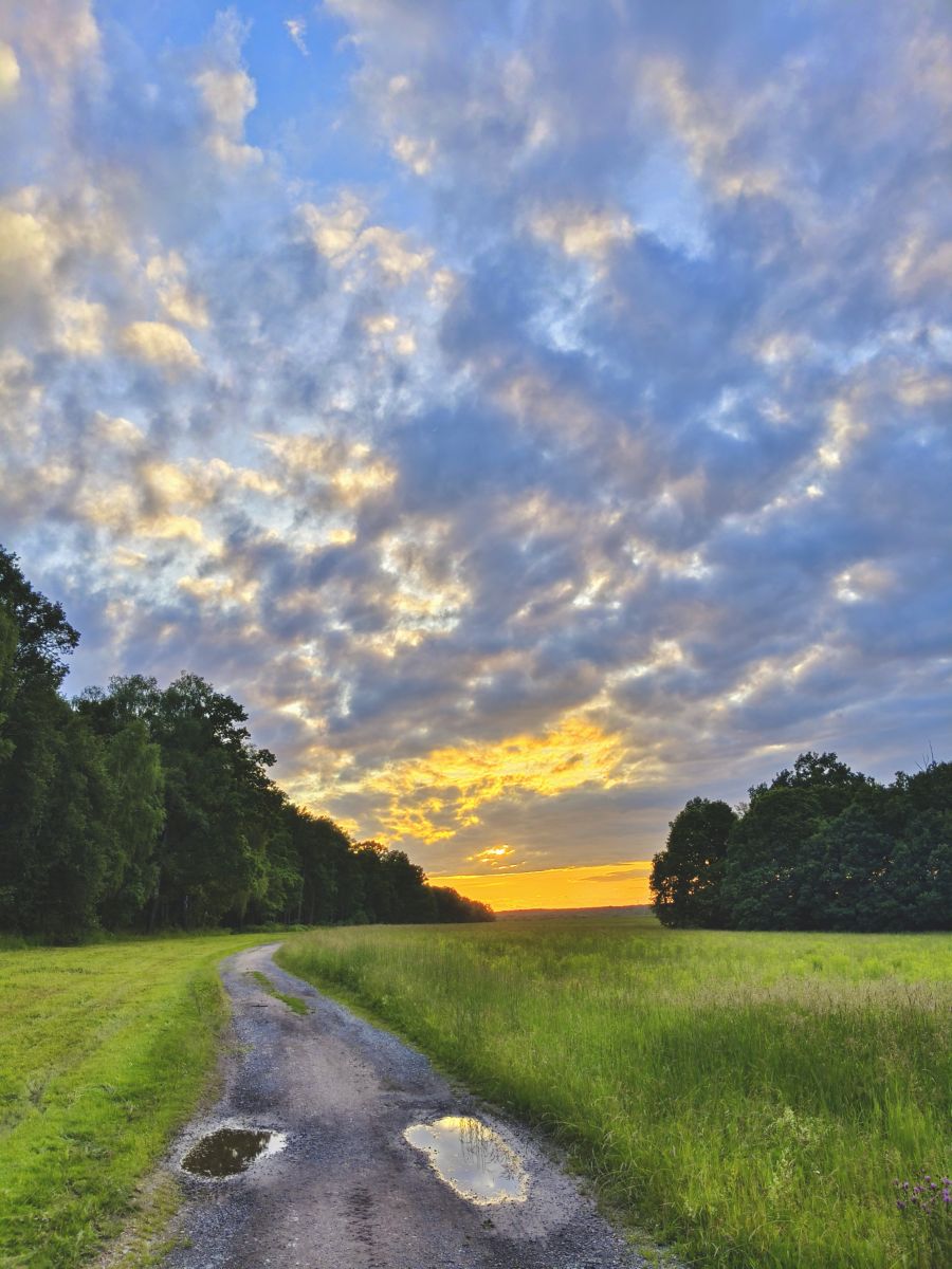 Photographer Aleksei, Weather Photos in Yasnaya Polyana - Weawow