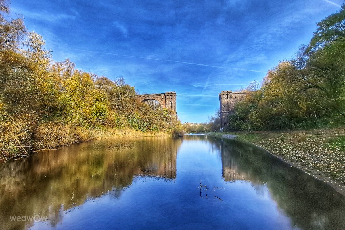 Photographer Lotti5507, Weather Photos in Phoenix West - Weawow