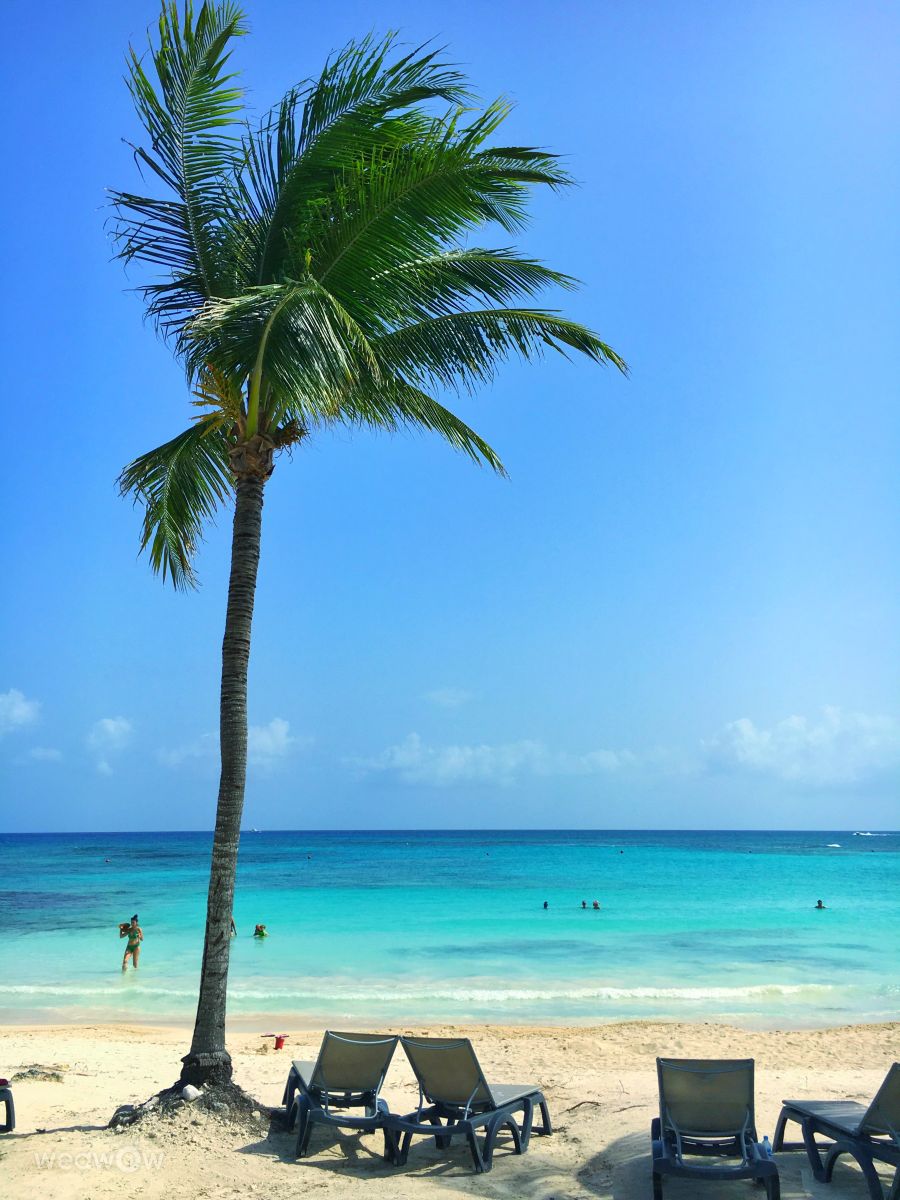 Weather forecasts with beautiful photos by Donghwan