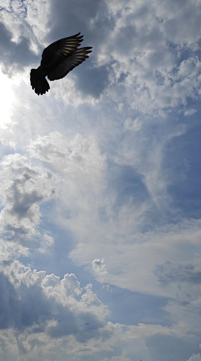 Fotos sobre el clima en Samara Oblast. Pronósticos del tiempo con hermosas fotos de kukufffs