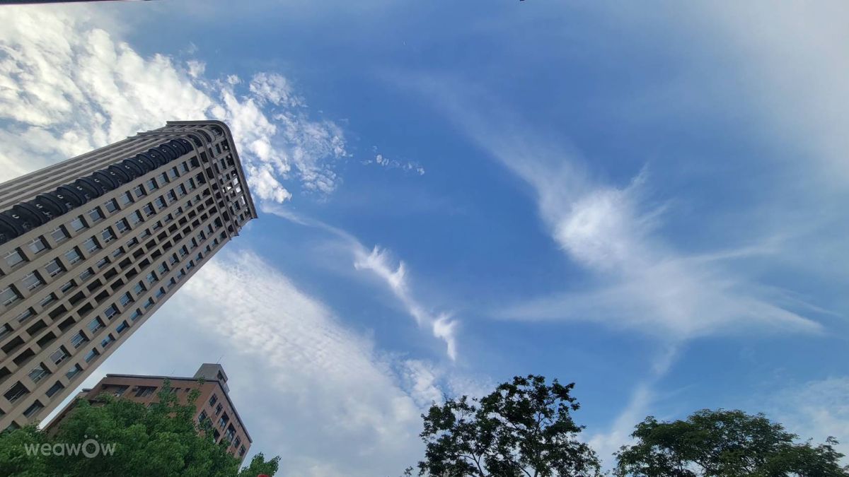 Photographer Tch, Weather Photos in 高雄 - Weawow