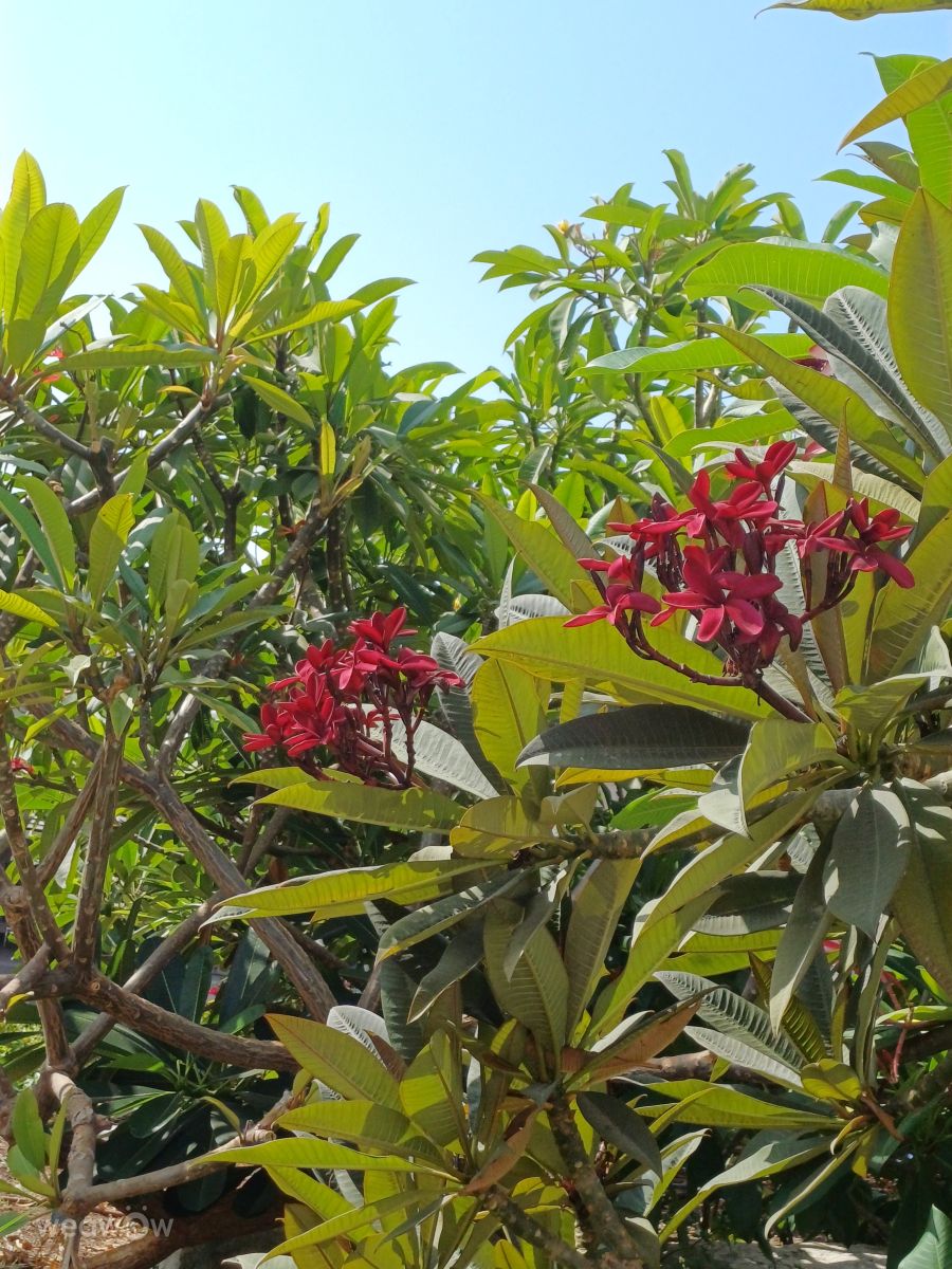 Photos météo à Holon. Prévisions météo avec de superbes photos de Zaza