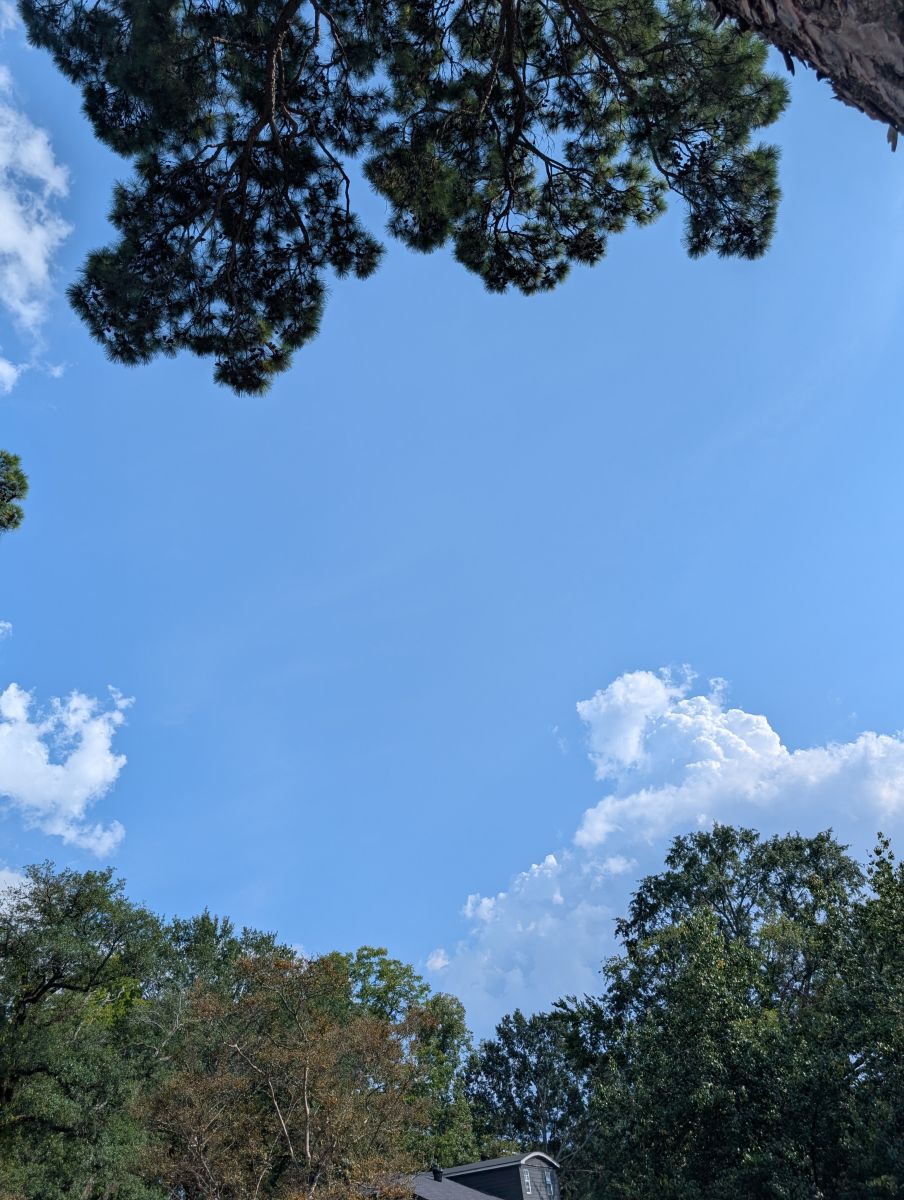 路易斯安那州的天气照片. 天气预报，带Lisa1972精美的照片