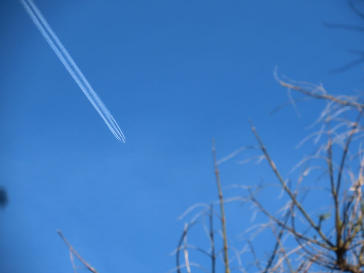 Petaẖ Tiqvaの天気写真. Sviatoslavの美しい写真による天気予報