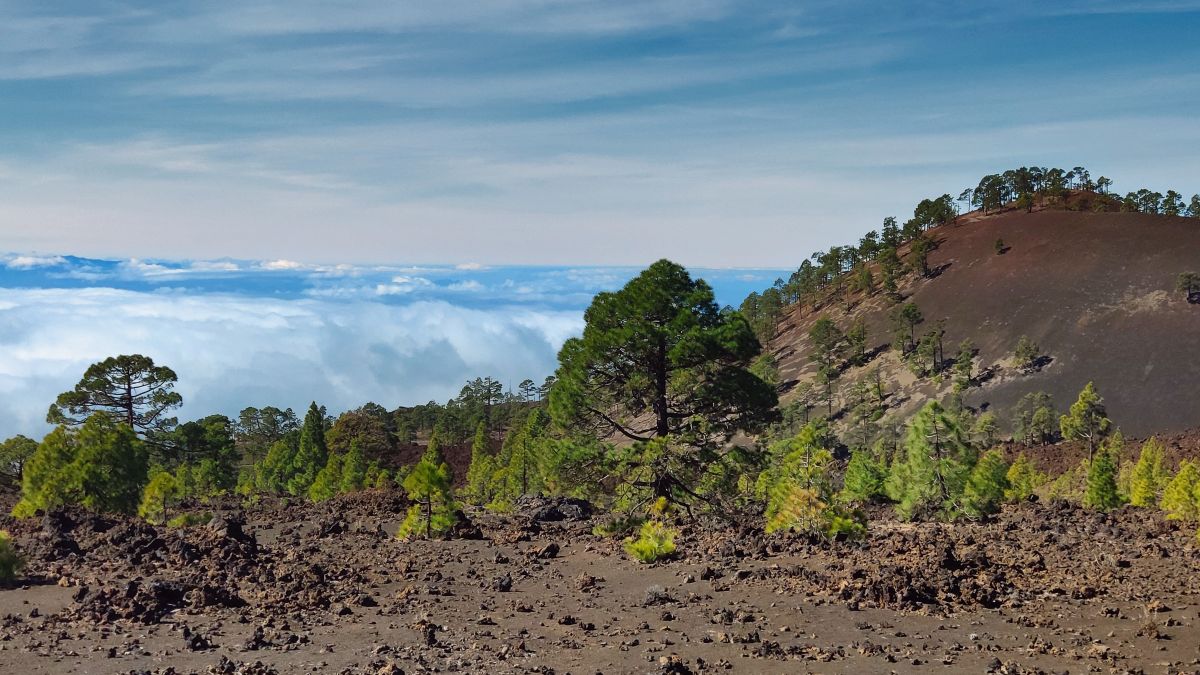 Photographe newgen, Photos météo à Montaña El Chinyero - Weawow