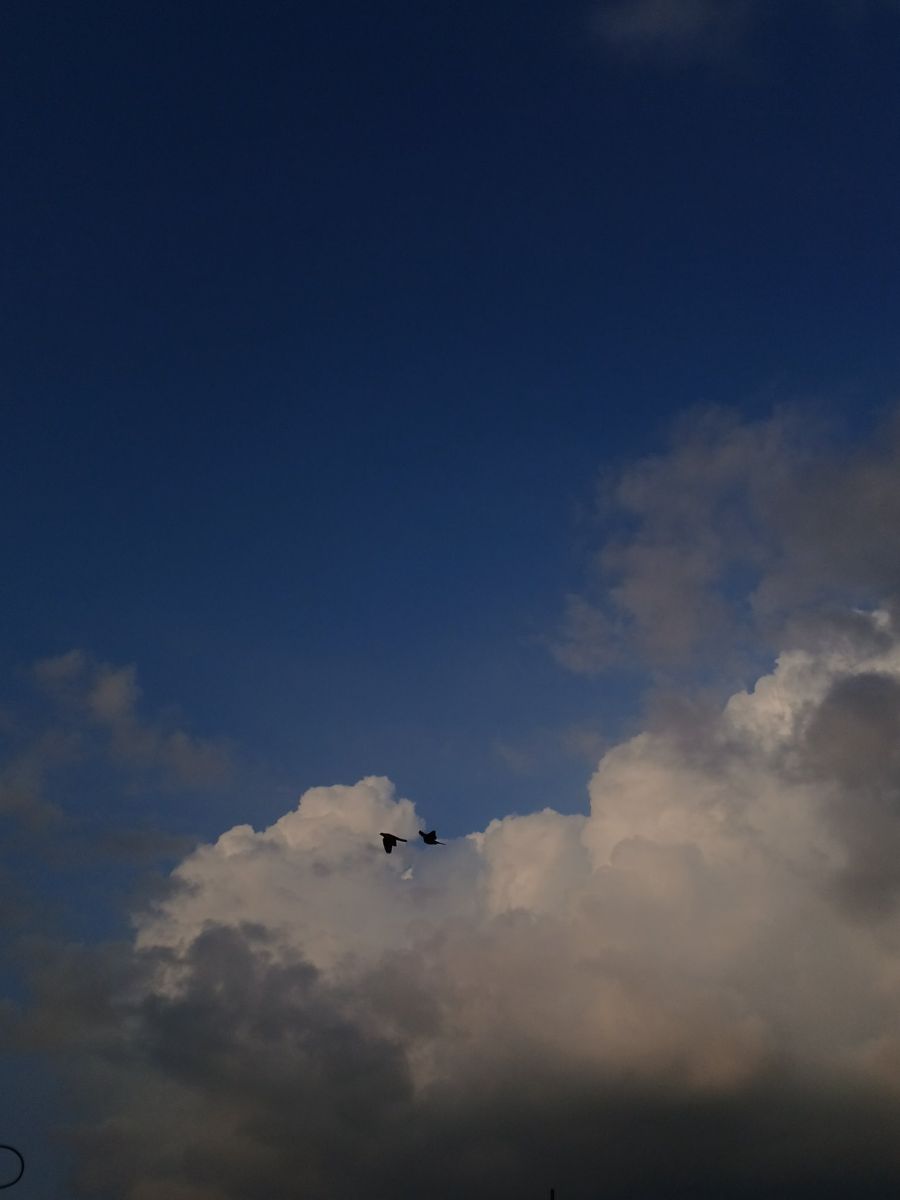 Weather Photos in Zagazig. Weather forecasts with beautiful photos by Doaa