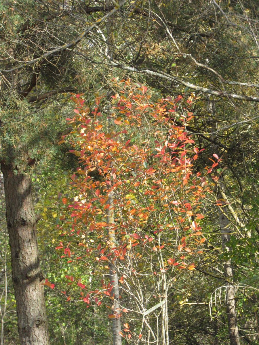 Fotos do tempo em Vitebsk. Previsões do tempo com lindas fotos de ЩипинЕвгений