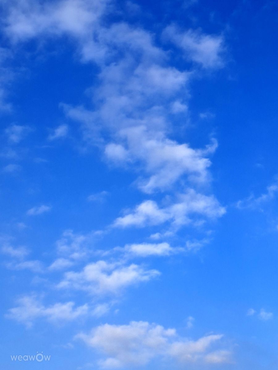 Wetter Photos Kaohsiung. Wettervorhersagen mit schönen Fotos von Wen-ya Huang