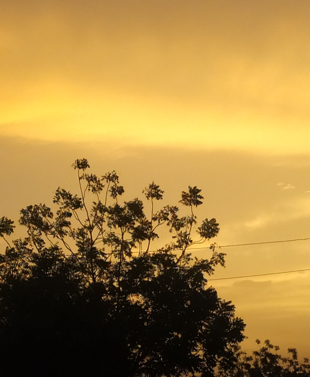Weather forecasts with beautiful photos by Mashaer